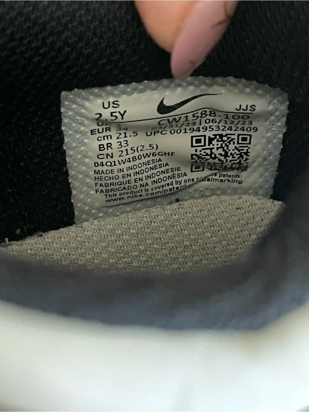 Nike Dunk Low Sneaker in Black and White